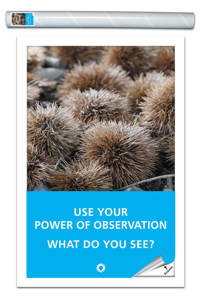 Power of Observation - Velcro®