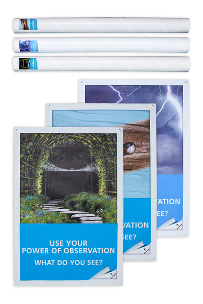 Power of Observation (Set of 3, Lightning, Spider, Shipworm)