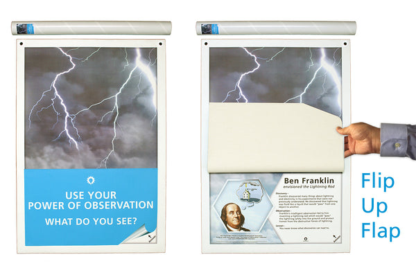Power of Observation (Set of 3, Lightning, Spider, Shipworm)