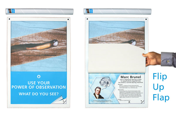 Power of Observation - Shipworm