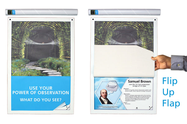 Power of Observation (Set of 3, Lightning, Spider, Shipworm)