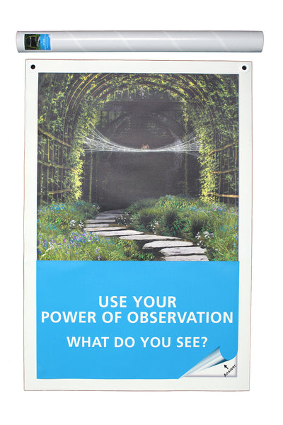 Power of Observation - Spiderweb